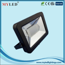 30w IP65 CE Approval Ultra-thin LED Flood Light Outdoor Lightings